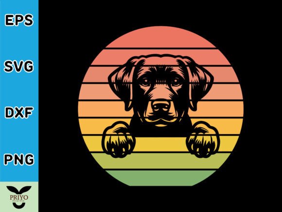 Labrador Retriever Dog Peeking Sunset