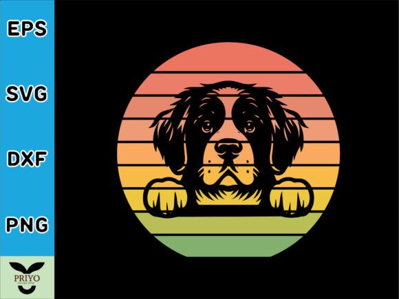 Saint Bernard Dog Peeking Sunset Vintage