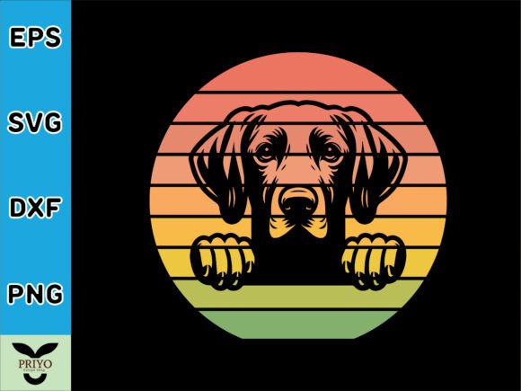 Weimaraner Dog Peeking Sunset Vintage